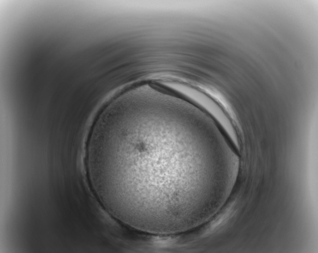 X0000088740799200706071659