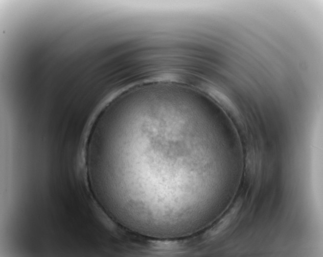 X0000088740800200706071659