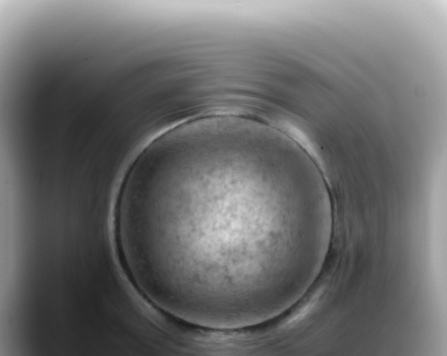 X0000088740803200706071659