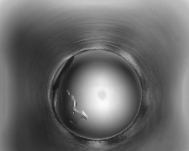 X0000088740805200706071659