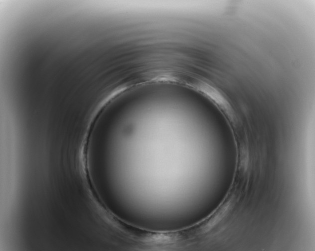 X0000088740806200706071659