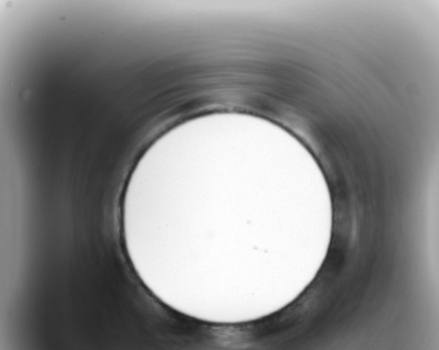 X0000088740807200706071659