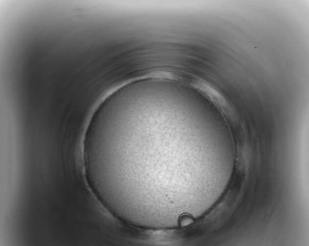 X0000088740808200706071658