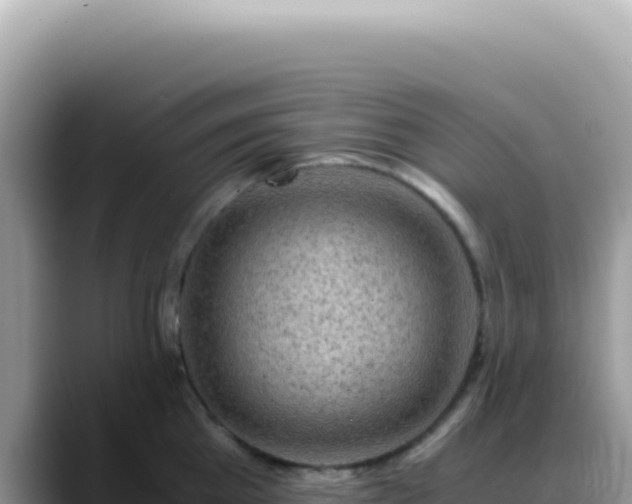X0000088740809200706071658