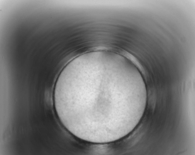 X0000088740810200706071658