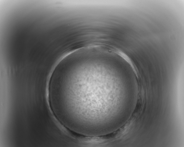 X0000088740811200706071658
