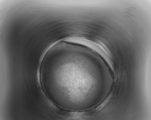 X0000088740812200706071658