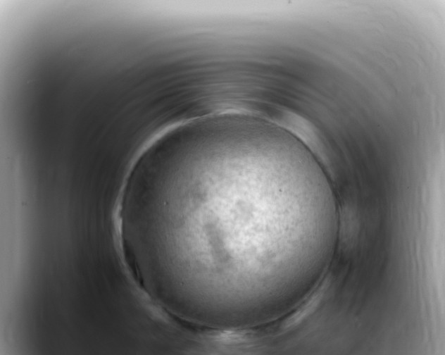 X0000088740814200706071658