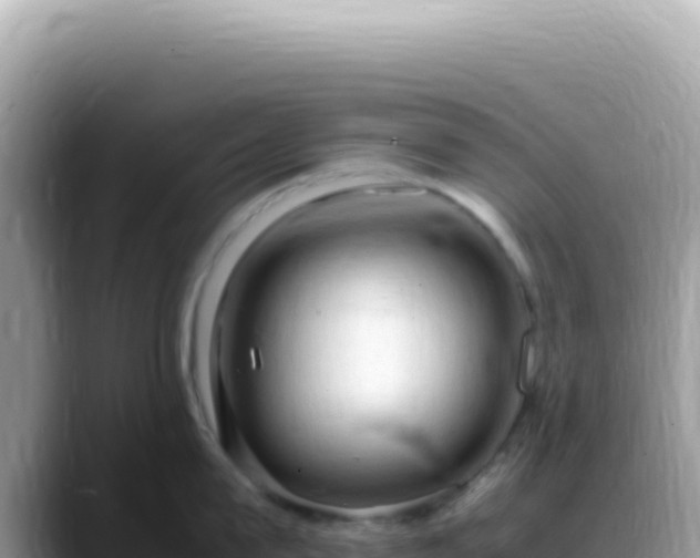 X0000088740815200706071658