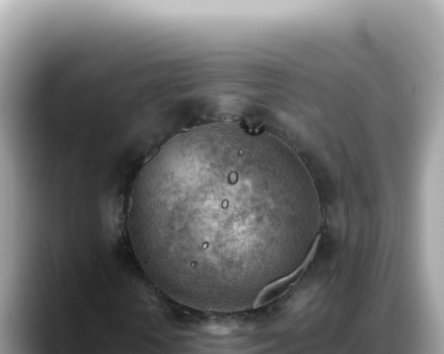 X0000088740818200706071658
