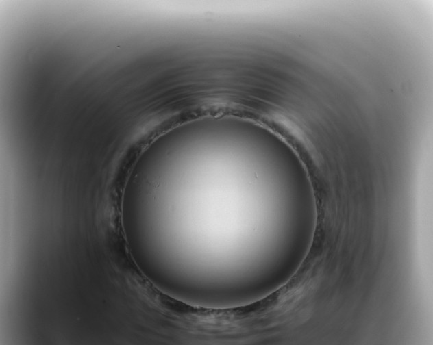 X0000088740823200706071658