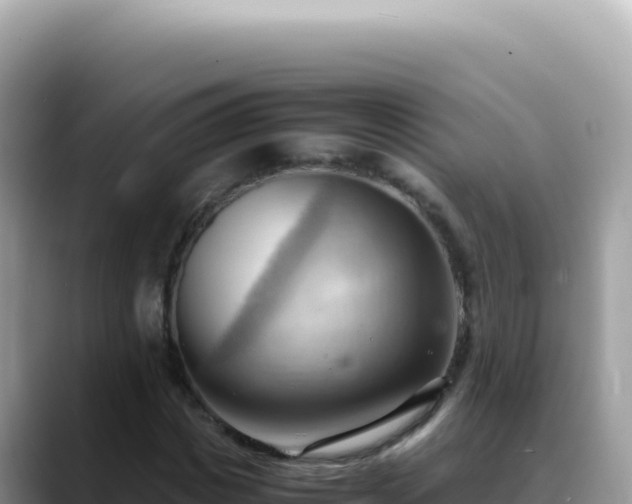 X0000088740825200706071658