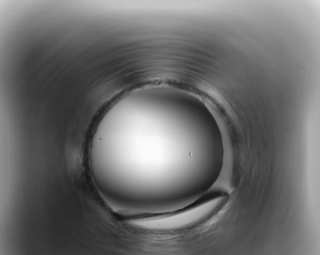 X0000088740826200706071658