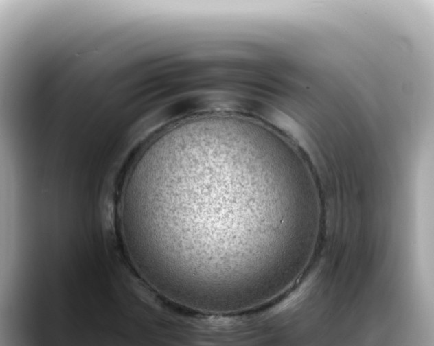 X0000088740827200706071658