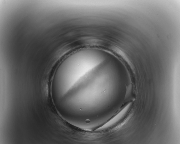 X0000088740829200706071658