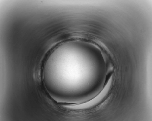 X0000088740830200706071658