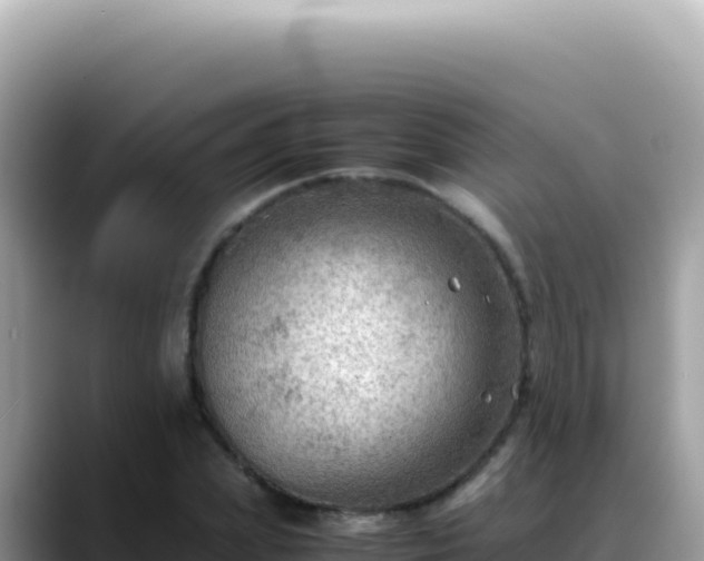 X0000088740831200706071658