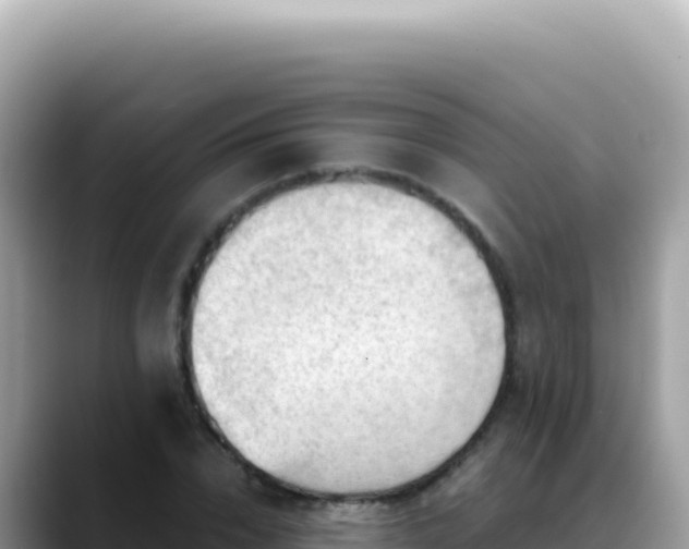 X0000088740832200706071658