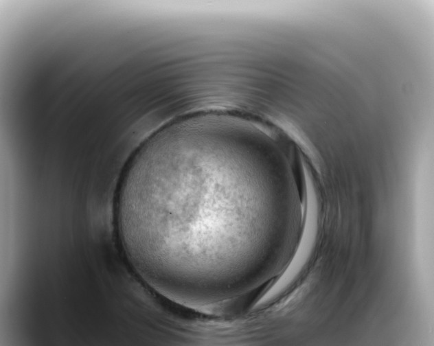 X0000088740834200706071658