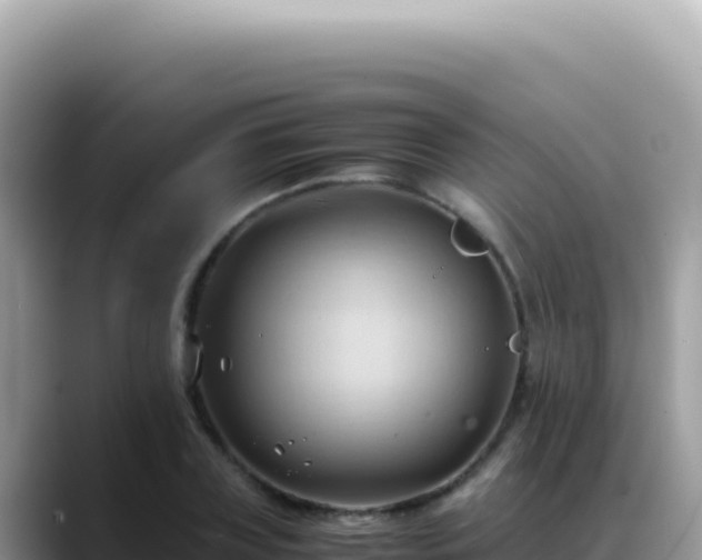 X0000088740835200706071658