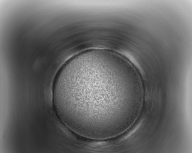 X0000088740837200706071658