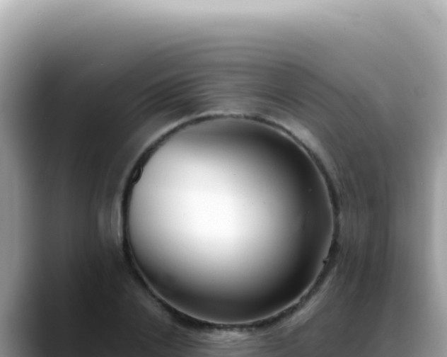 X0000088740838200706071658