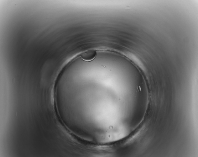 X0000088740839200706071658