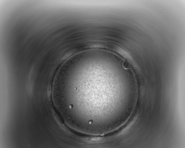 X0000088740841200706071658