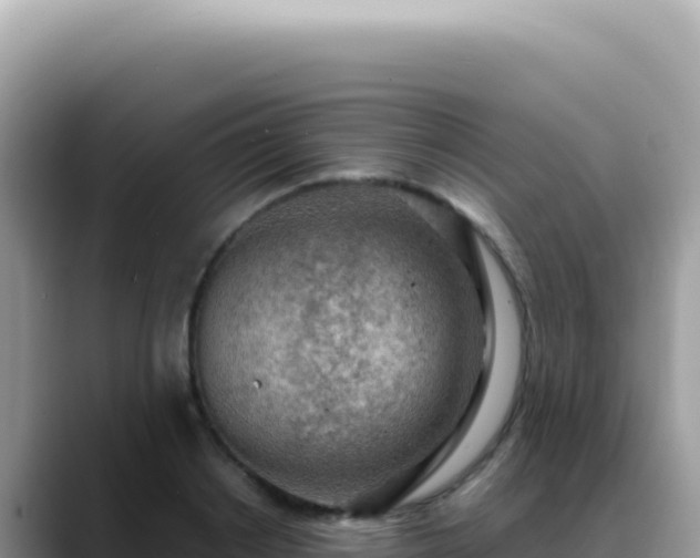 X0000088740842200706071658