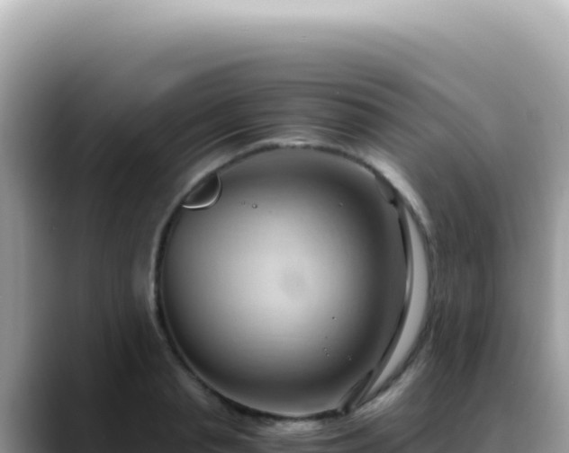 X0000088740845200706071658