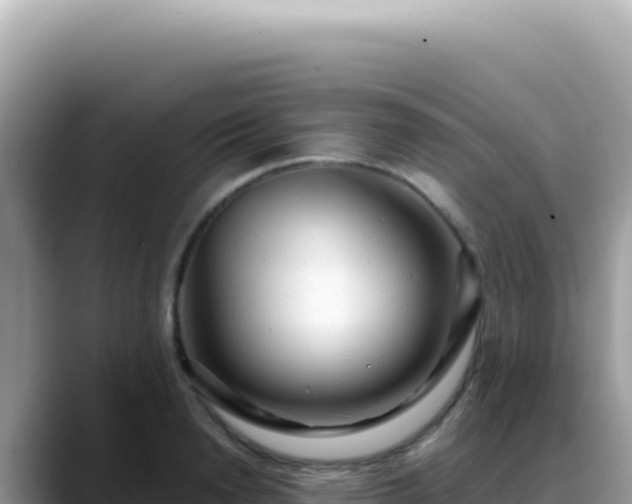 X0000088740846200706071658