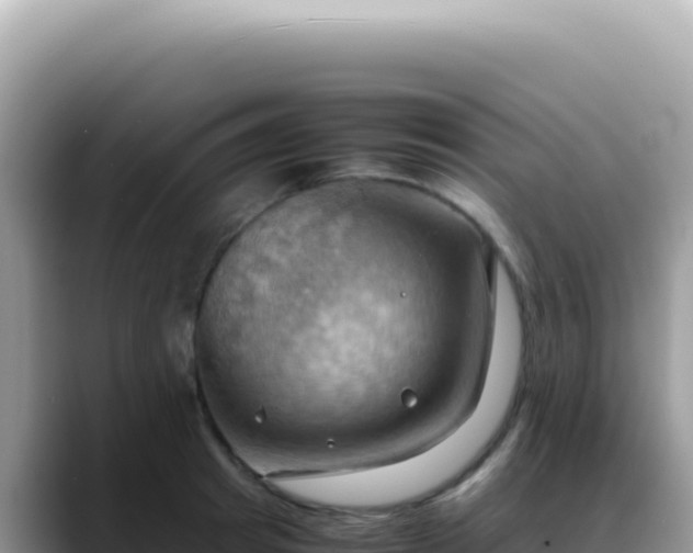 X0000088740849200706071658