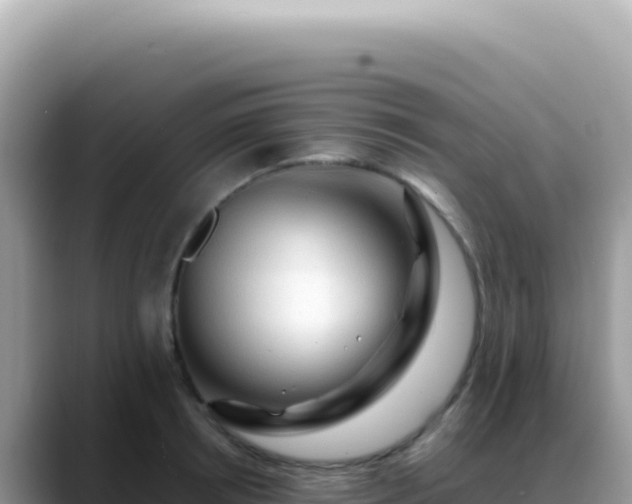 X0000088740850200706071658