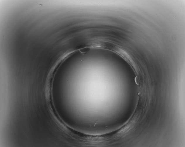 X0000088740851200706071658