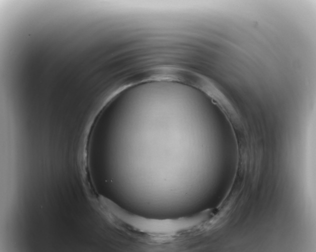 X0000088740852200706071658