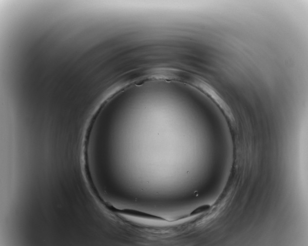 X0000088740853200706071658
