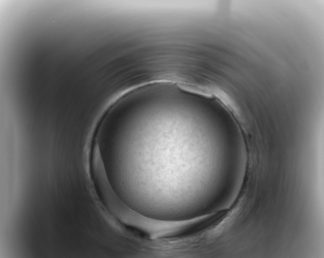 X0000088740854200706071658