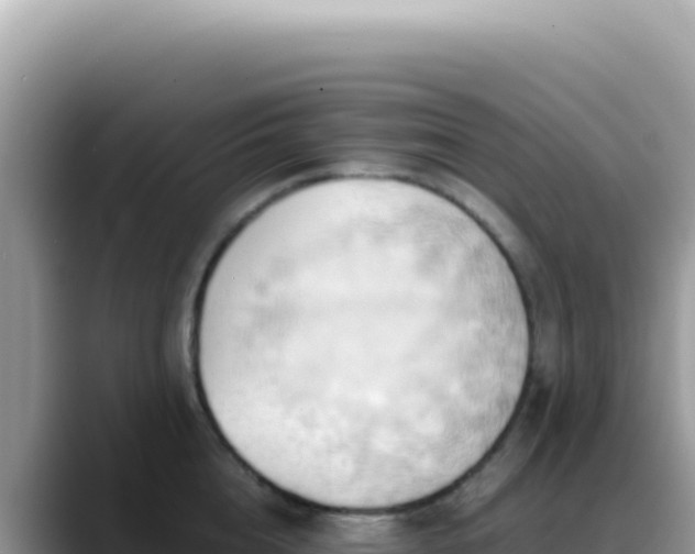X0000088740856200706071658