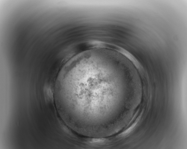 X0000088740857200706071658