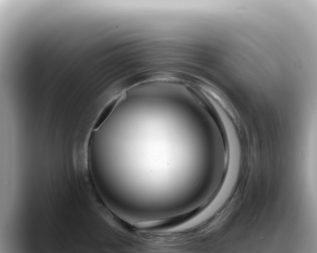 X0000088740858200706071658