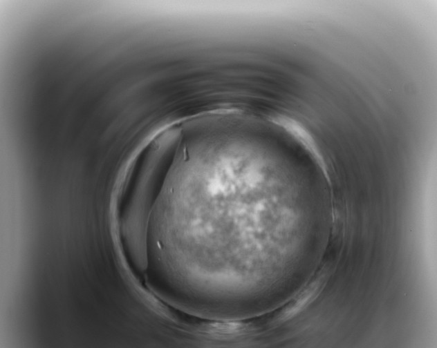 X0000088740859200706071658