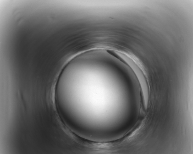 X0000088740862200706071658