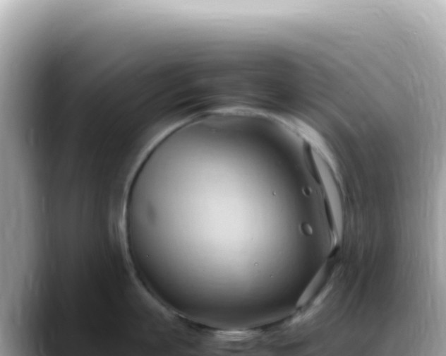 X0000088740863200706071658