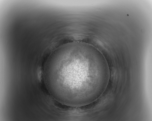 X0000088740866200706071658