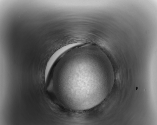 X0000088740868200706071658