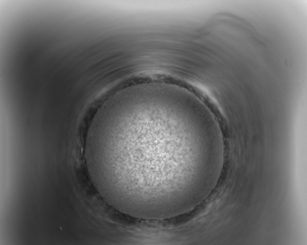 X0000088740871200706071658