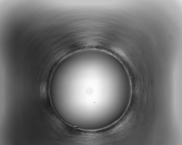X0000088740873200706071658