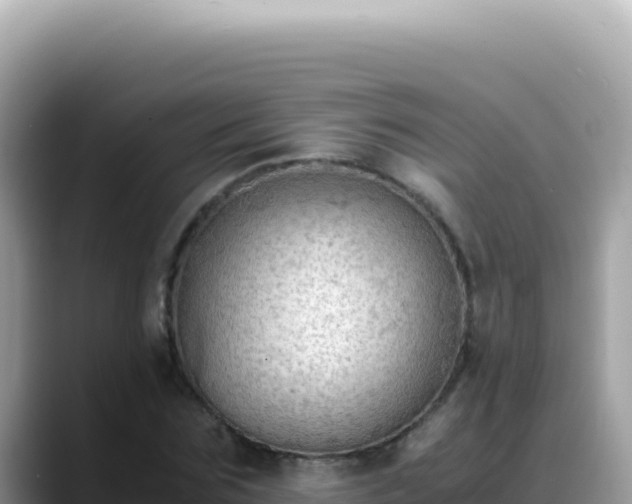 X0000088740875200706071658