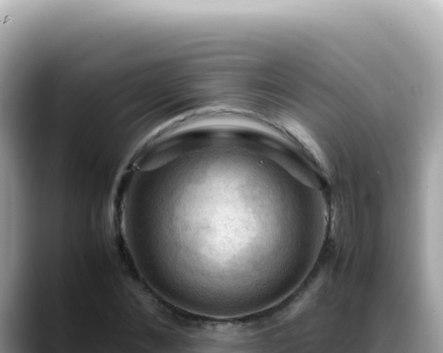 X0000088740876200706071658