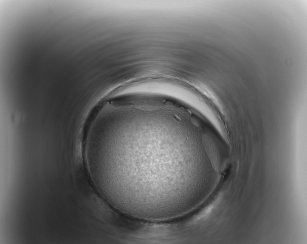 X0000088740877200706071658